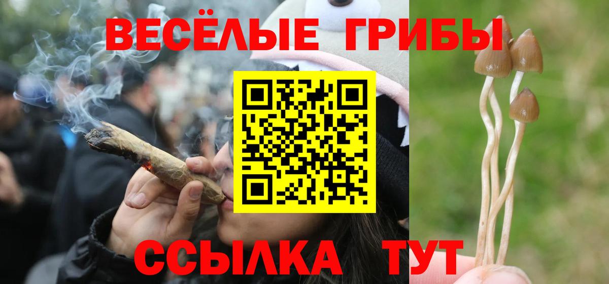 Псилоцибиновые грибы MAGIC MUSHROOMS Саранск