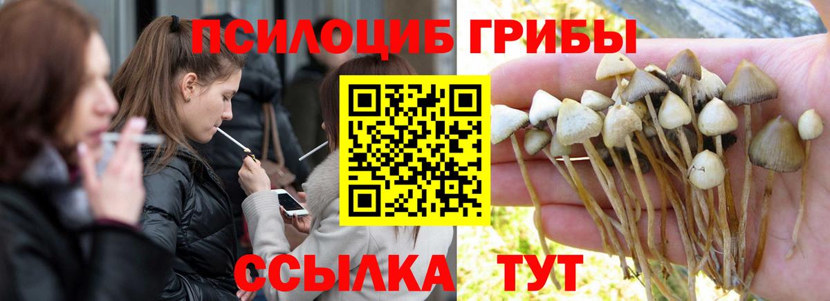 Псилоцибиновые грибы Magic Shrooms  Галлюциногенные грибы GOLDEN TEACHER  Саранск  закладка  Вход с VPN 